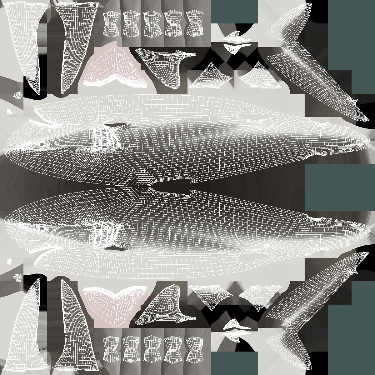 Silky Shark or Carcharhinus Falciformis 3D model
