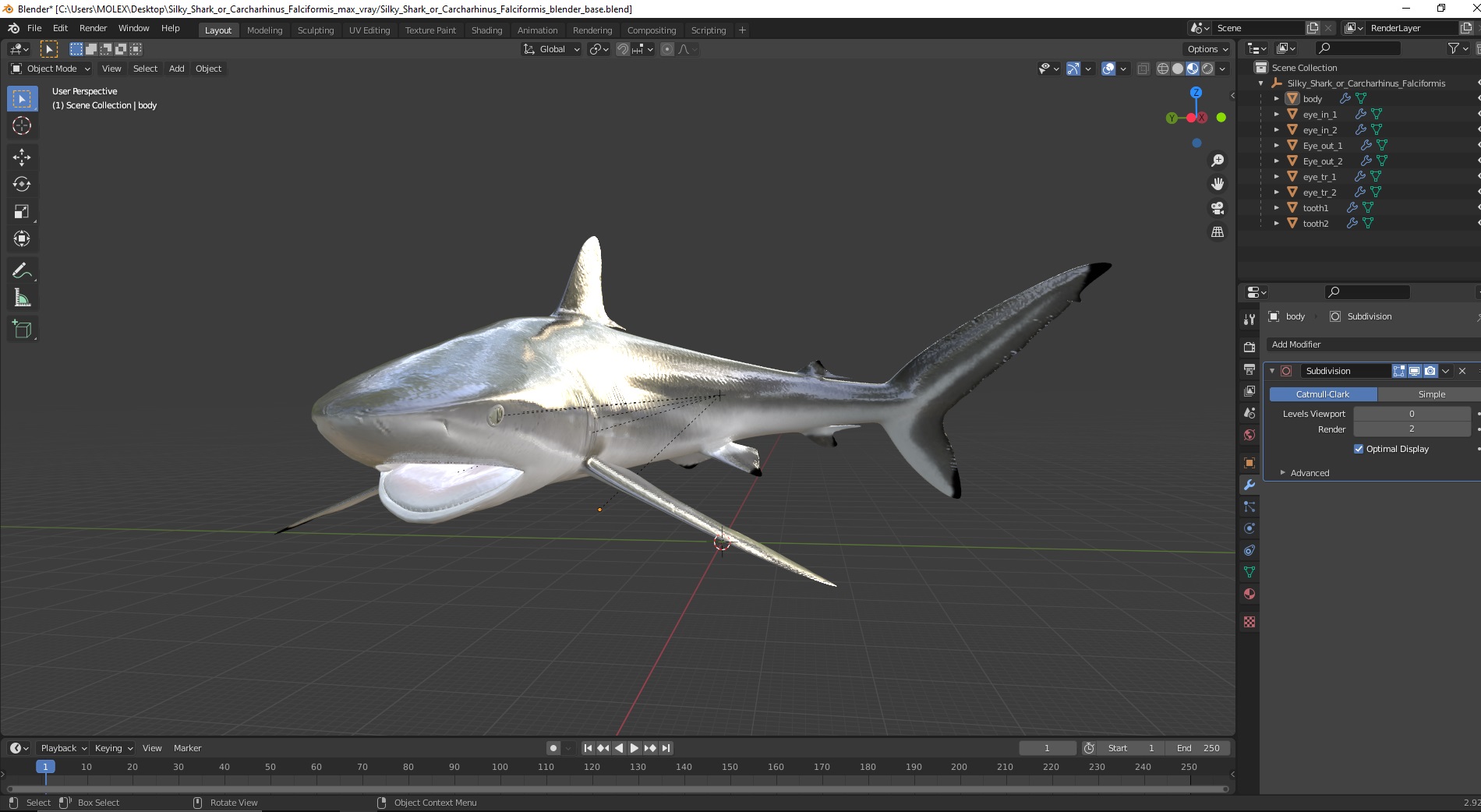 Silky Shark or Carcharhinus Falciformis 3D model