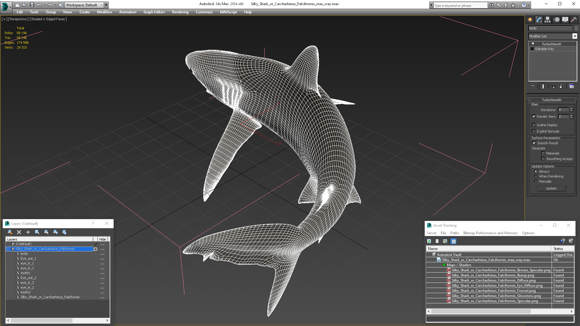 Silky Shark or Carcharhinus Falciformis 3D model