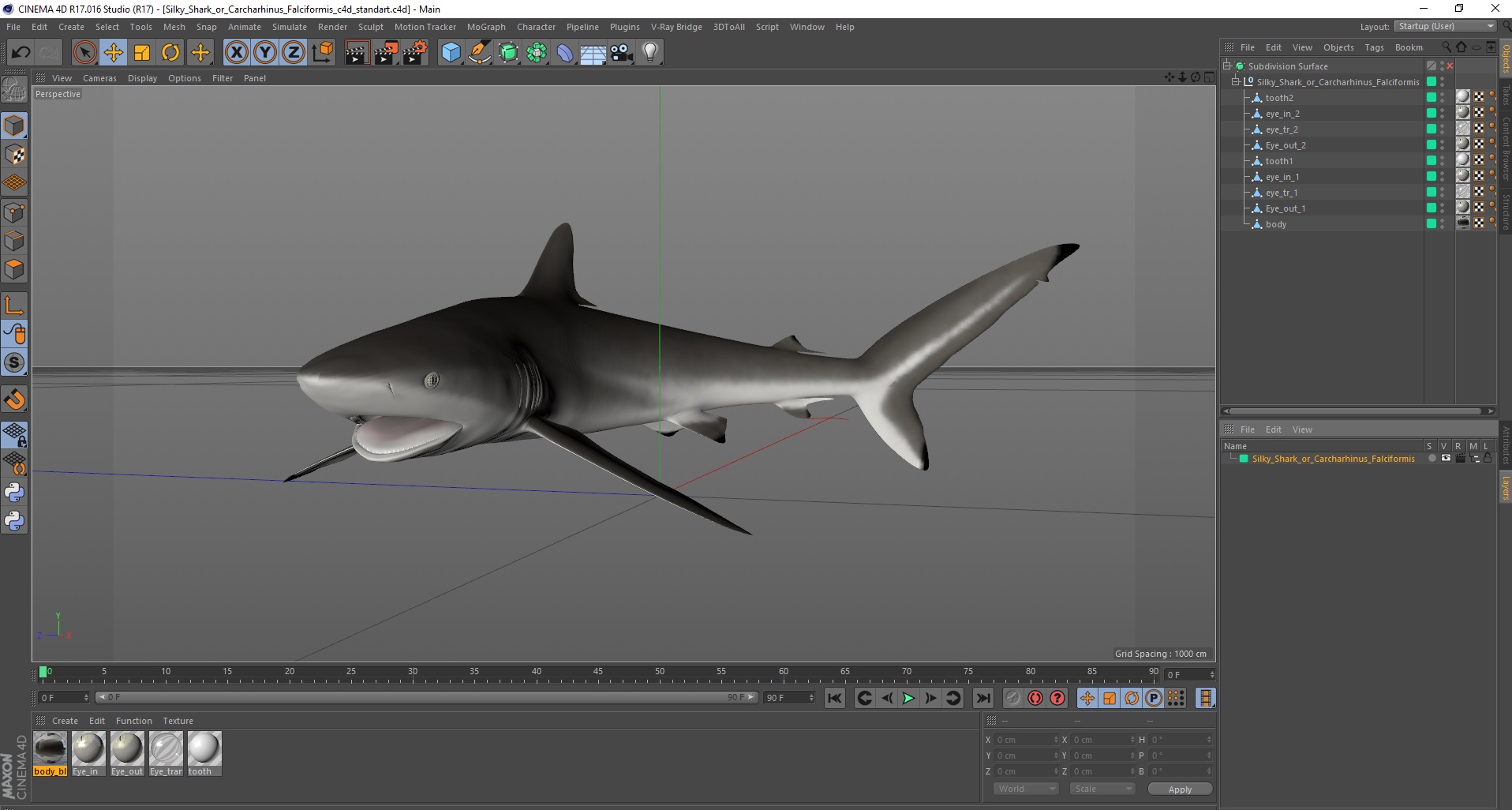 Silky Shark or Carcharhinus Falciformis 3D model