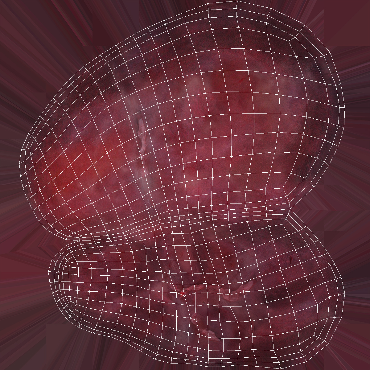 Human Digestive System 3D