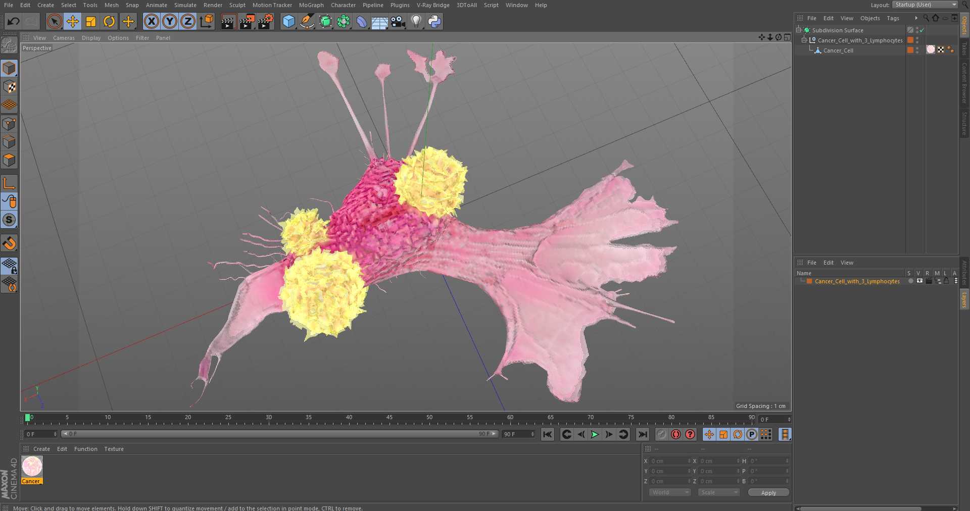 3D model Cancer Cell with 3 Lymphocytes