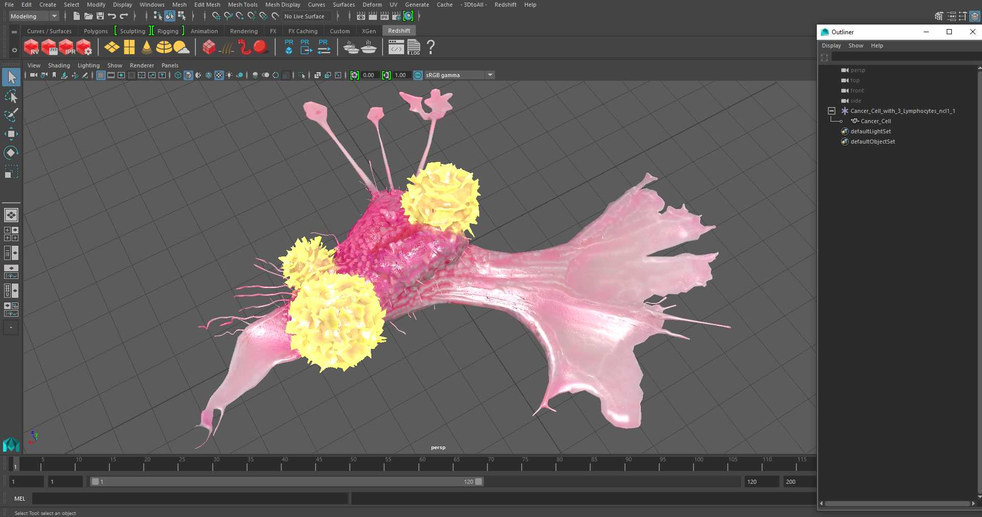3D model Cancer Cell with 3 Lymphocytes