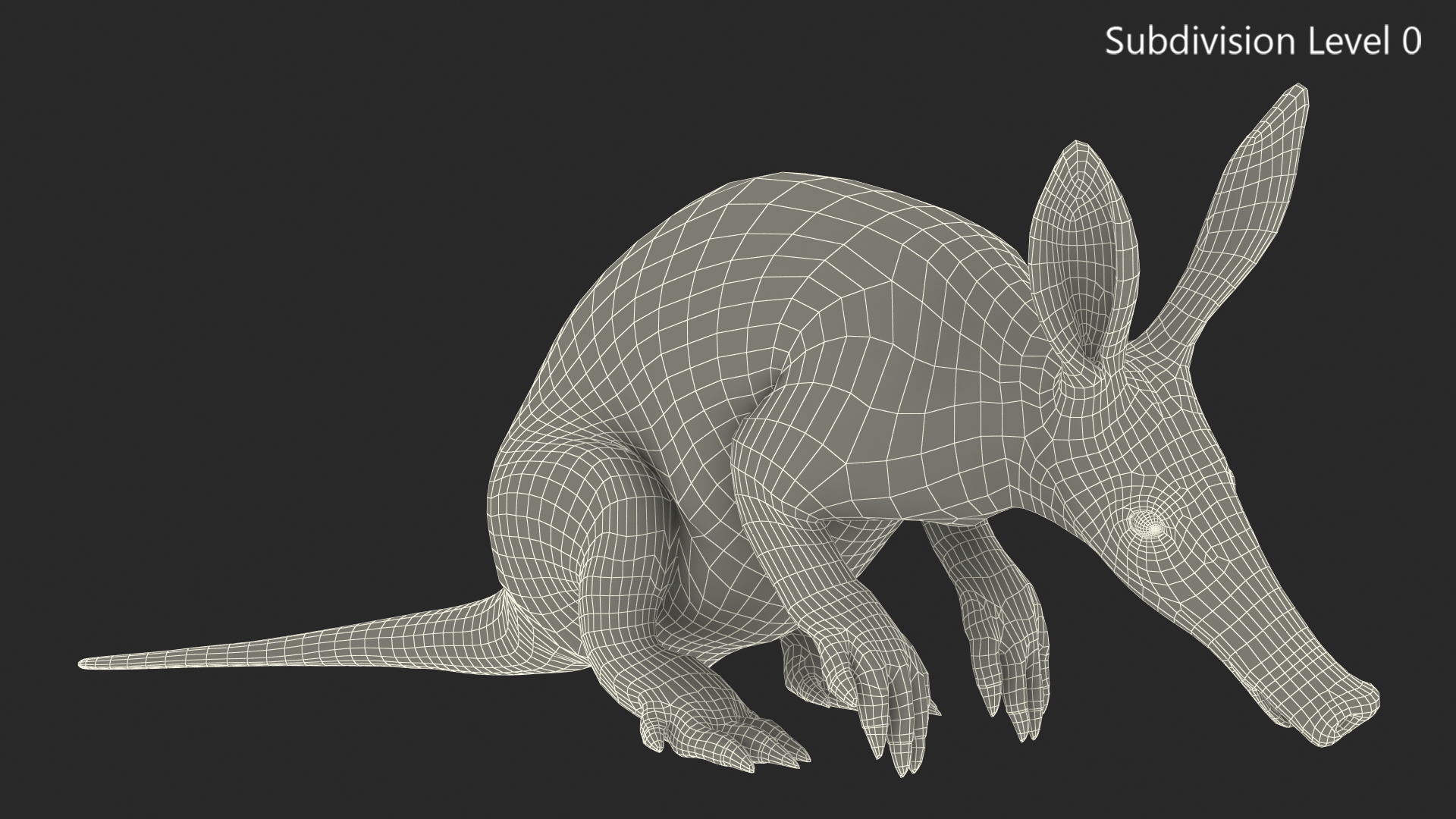 3D model African Mammal Aardvark Sitting Pose Fur