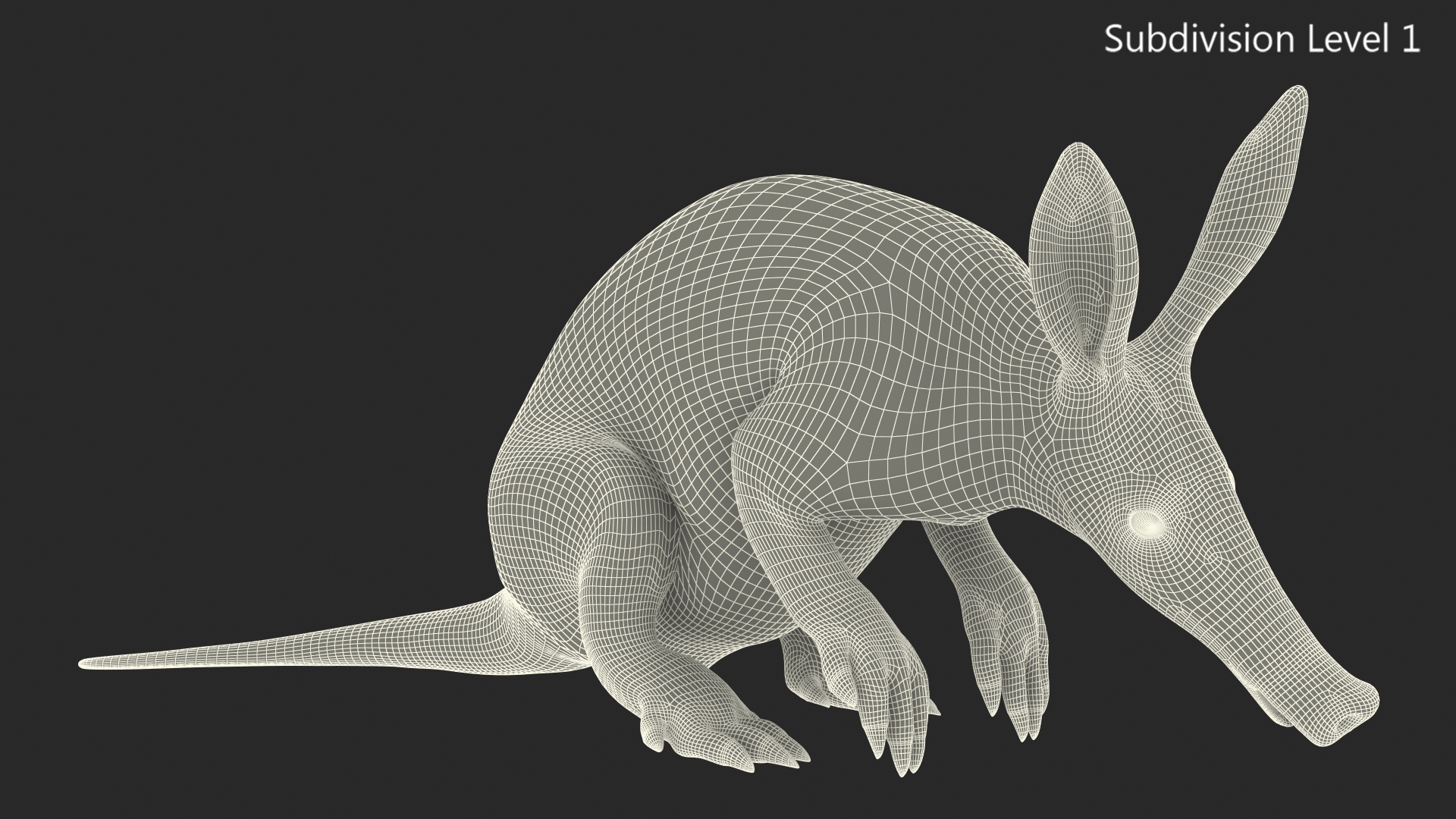3D model African Mammal Aardvark Sitting Pose Fur