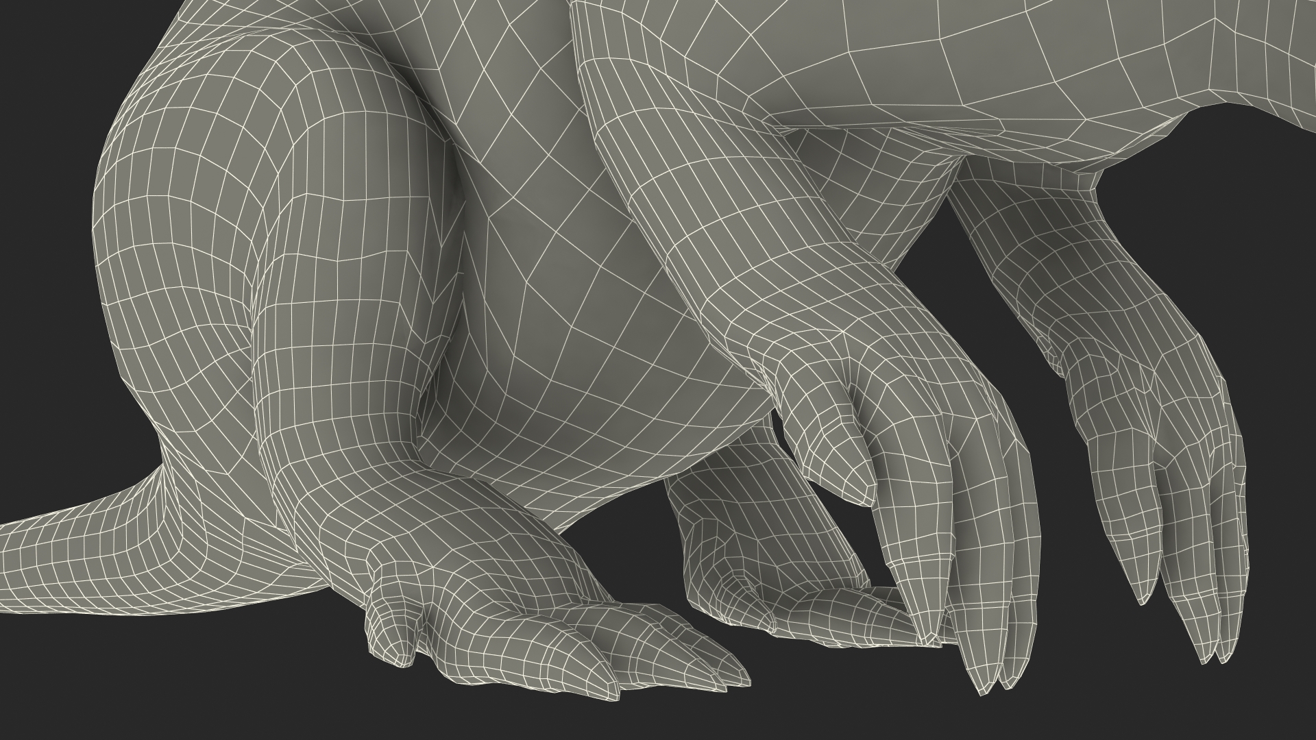 3D model African Mammal Aardvark Sitting Pose Fur