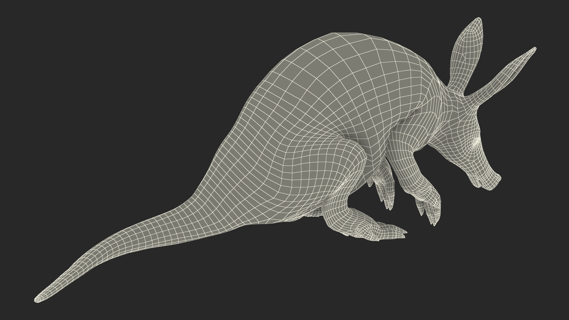 3D model African Mammal Aardvark Sitting Pose Fur