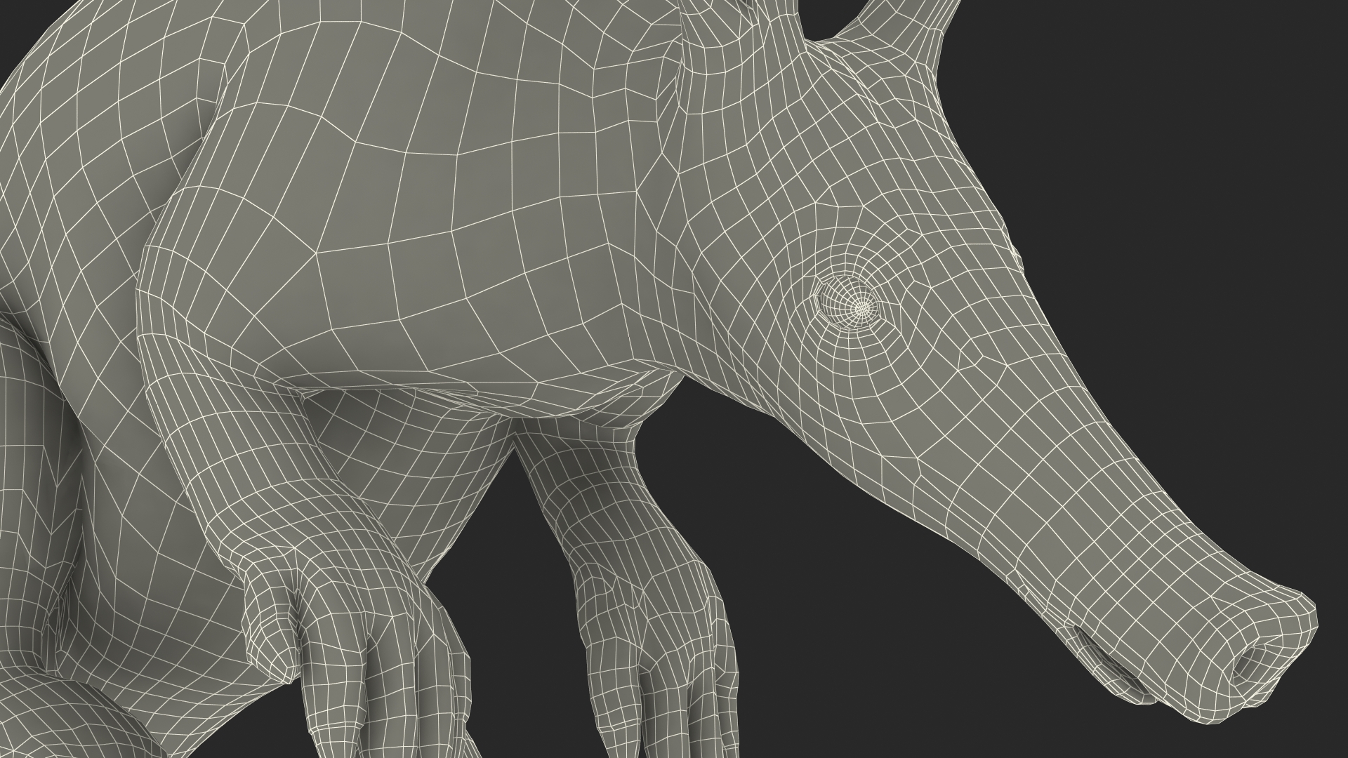 3D model African Mammal Aardvark Sitting Pose Fur