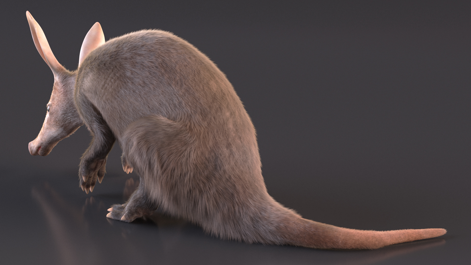 3D model African Mammal Aardvark Sitting Pose Fur
