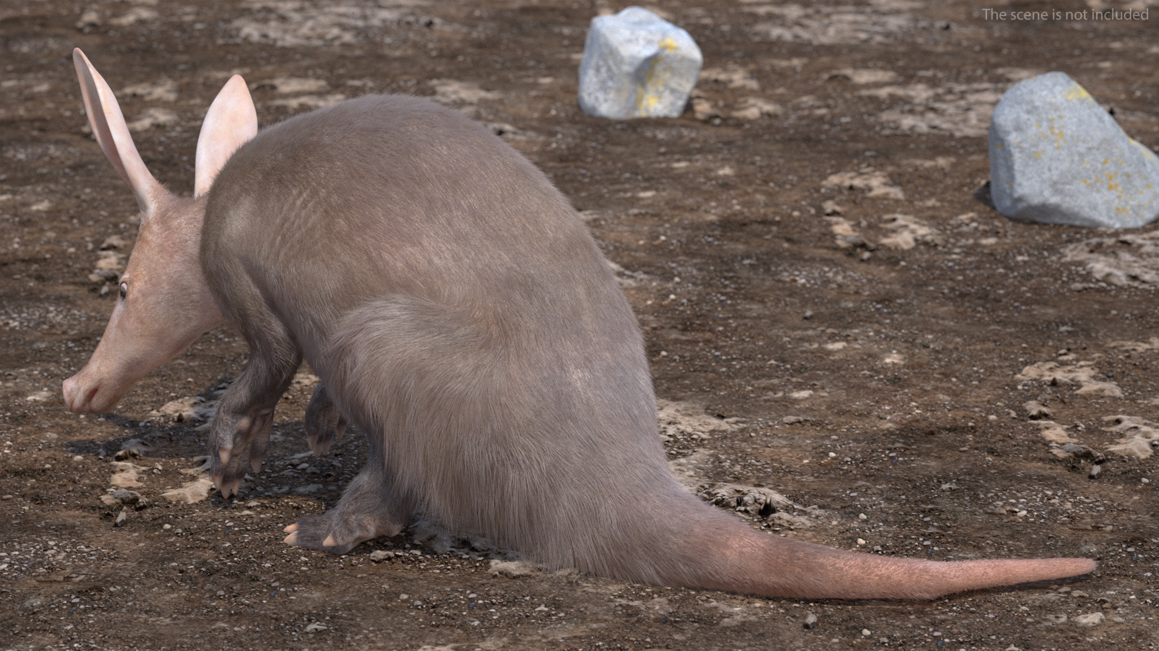 3D model African Mammal Aardvark Sitting Pose Fur