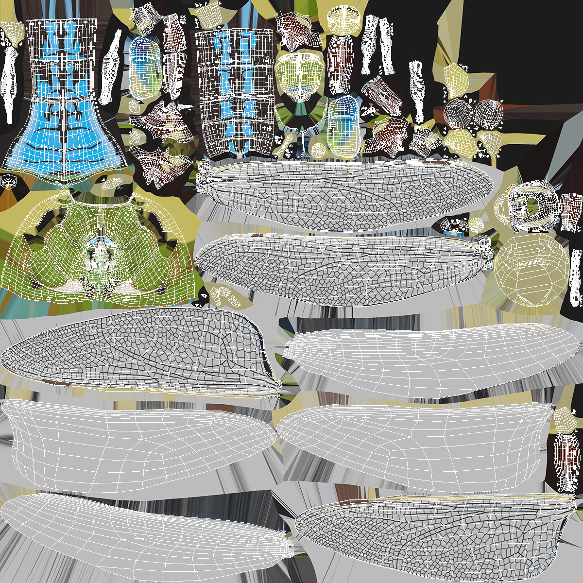 3D model Dragonfly Rigged for Maya