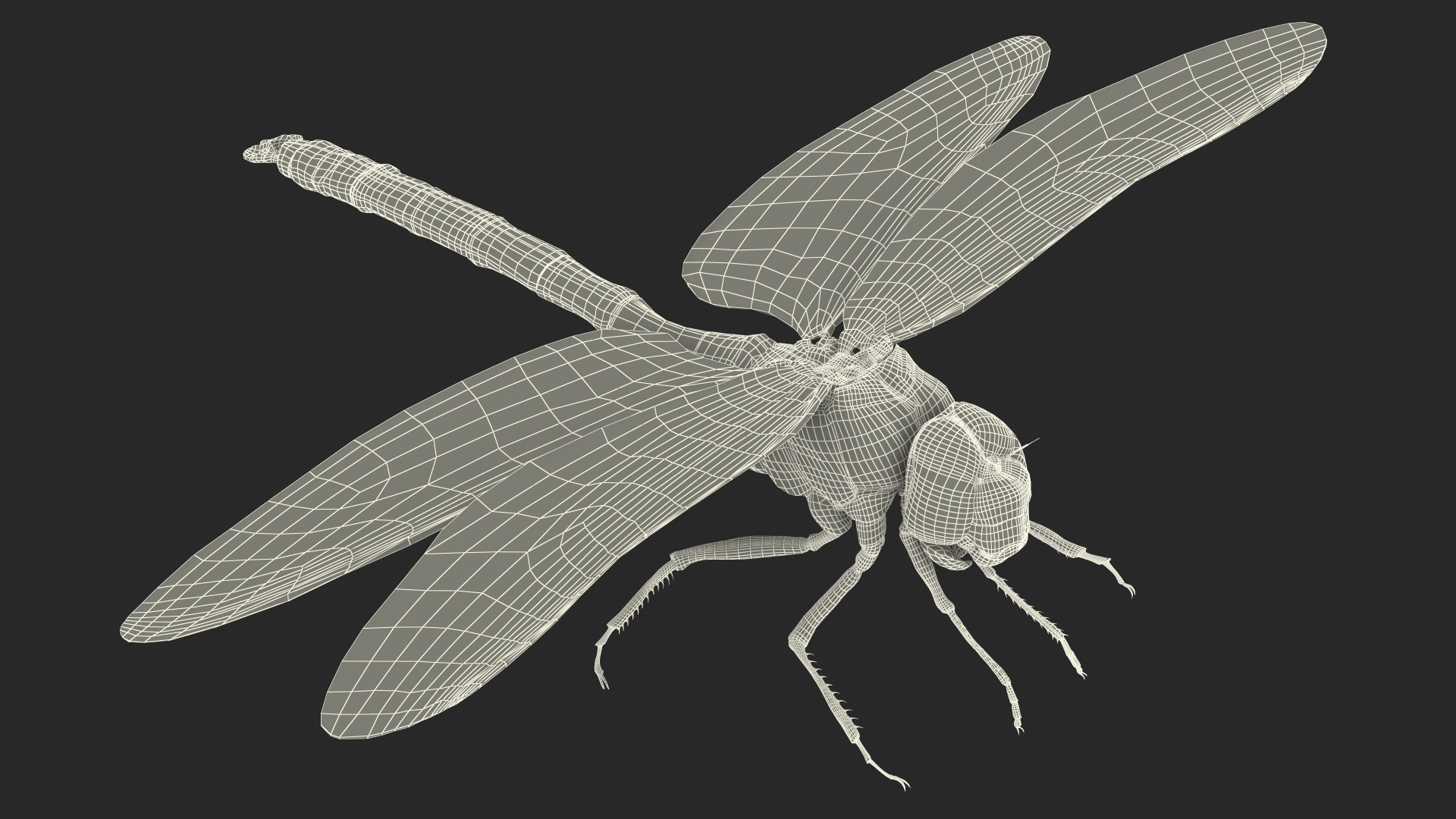 3D model Dragonfly Rigged for Maya