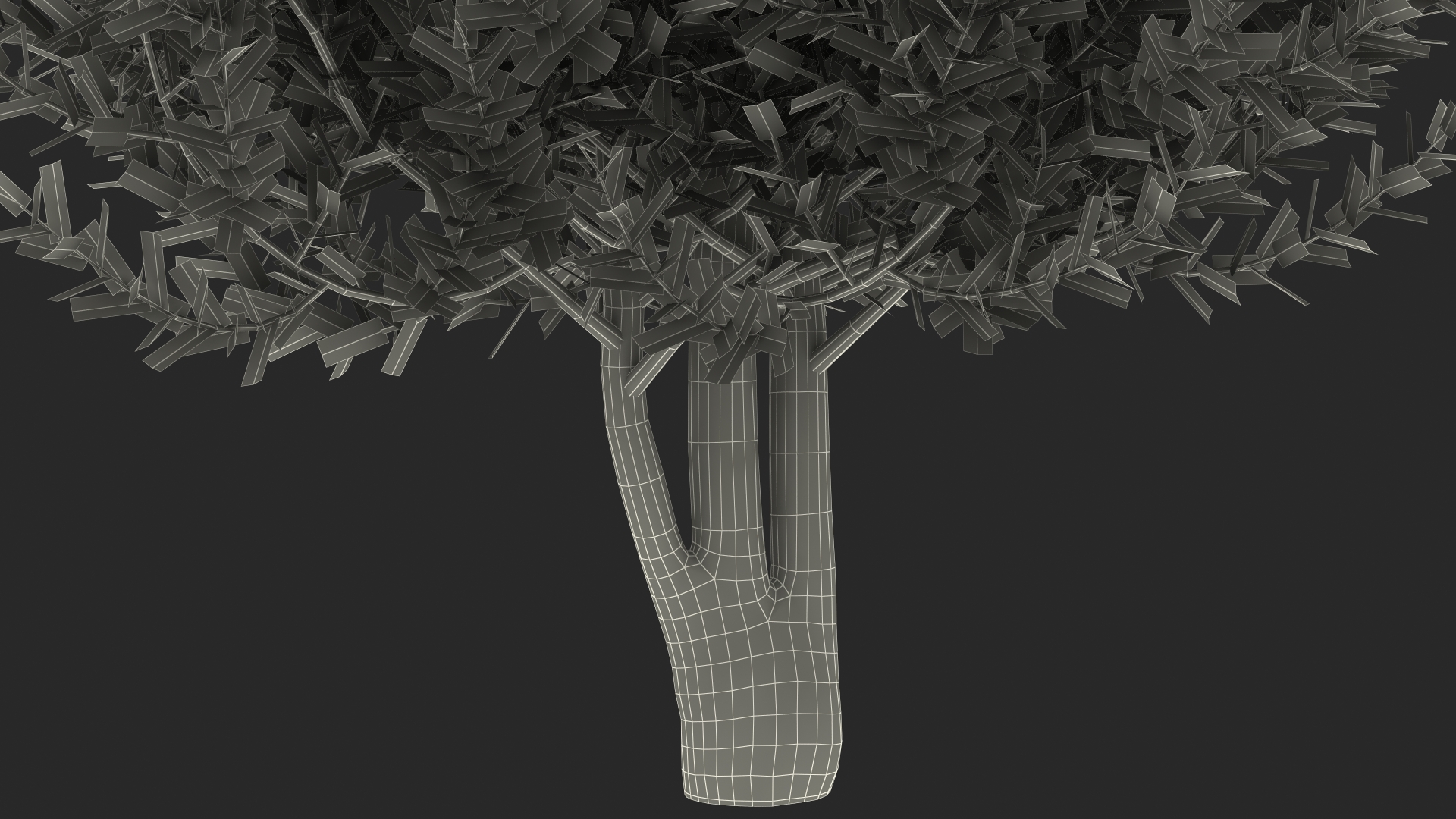 3D Sweet Bay Laurel Tree