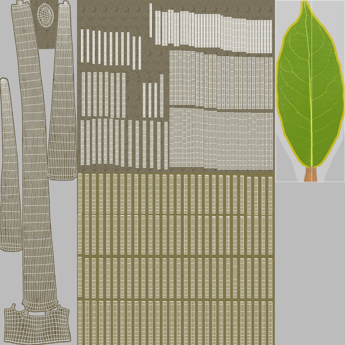 3D Sweet Bay Laurel Tree