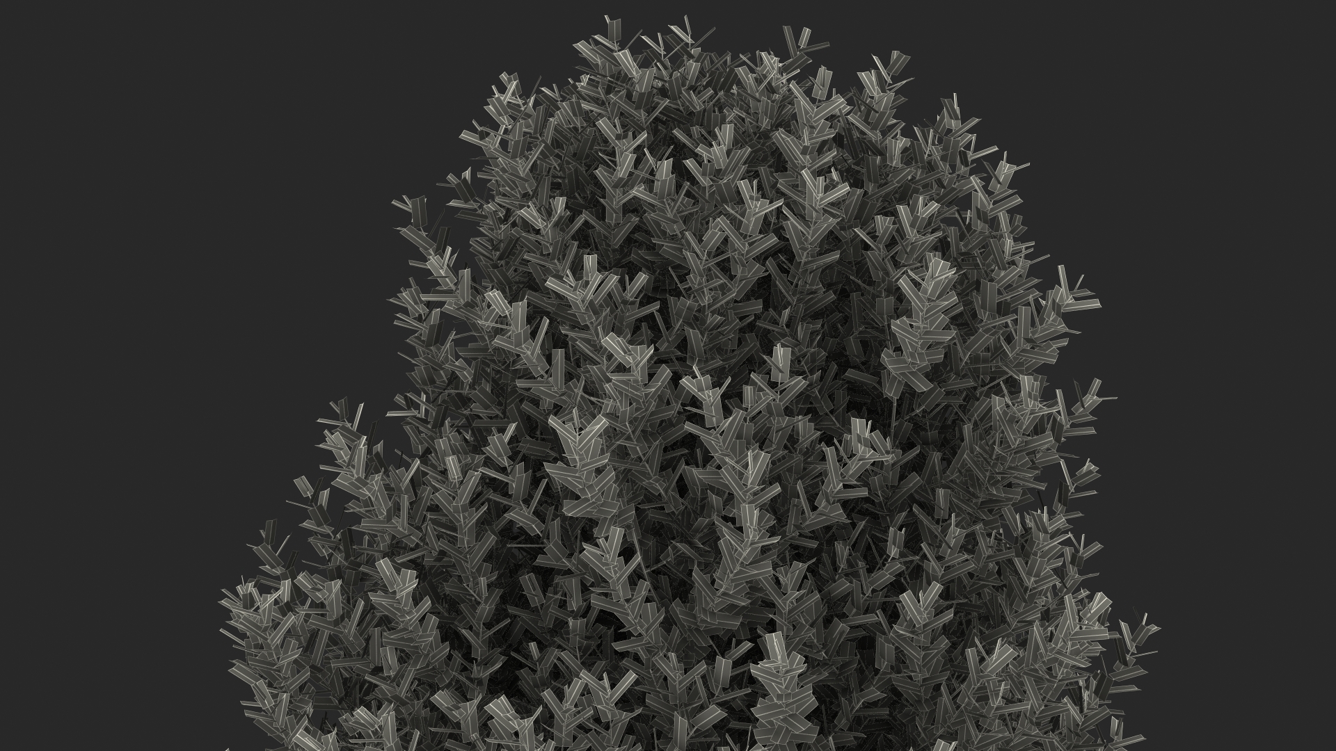 3D Sweet Bay Laurel Tree