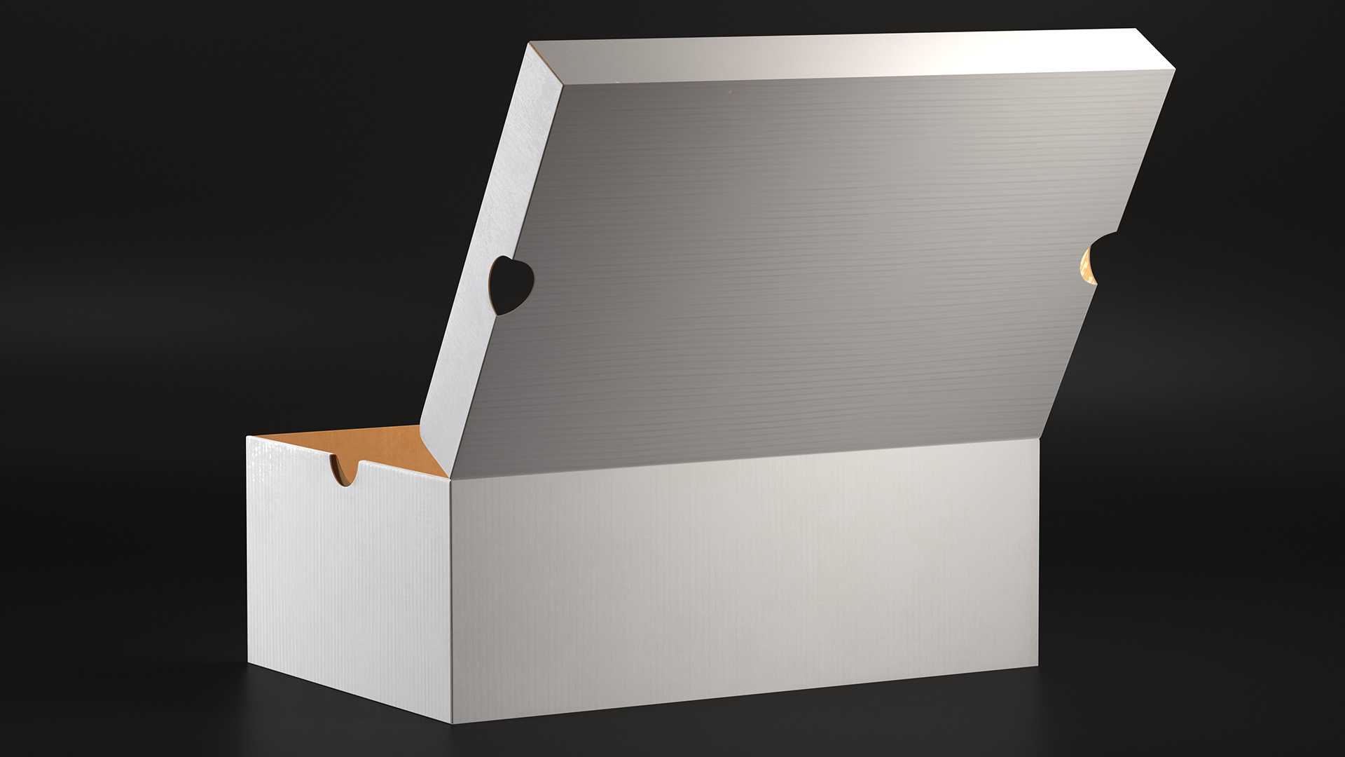 3D Shoe Box Open model