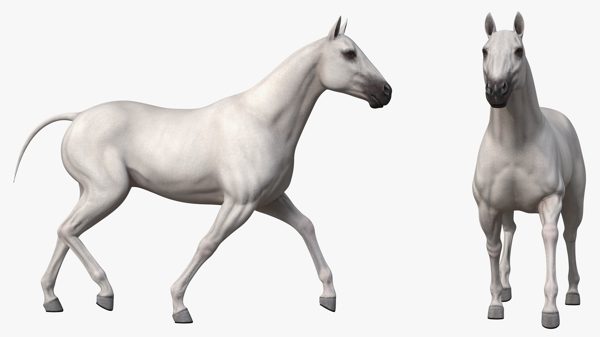 Four Horses with Stagecoach 3D