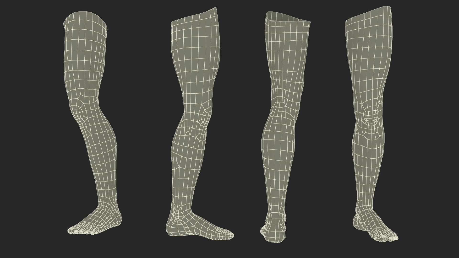 Male Athletic Leg 3D