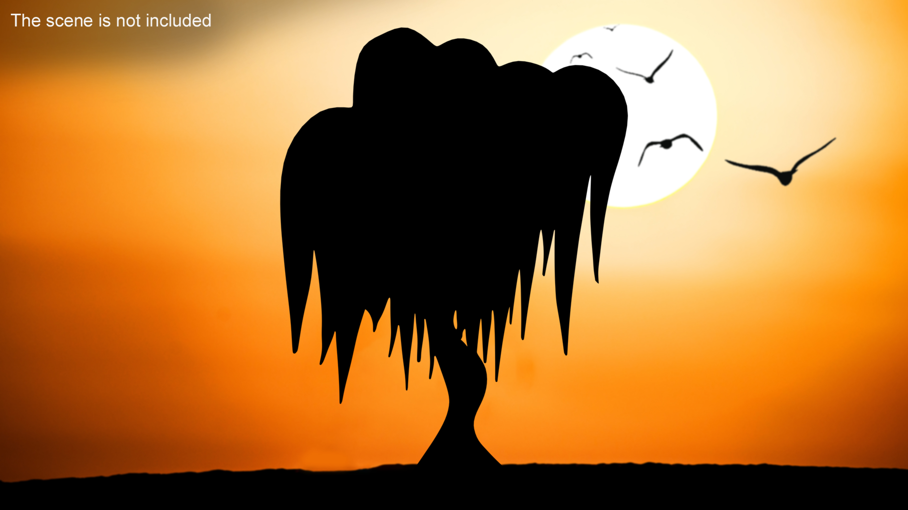 Willow Silhouette 3D