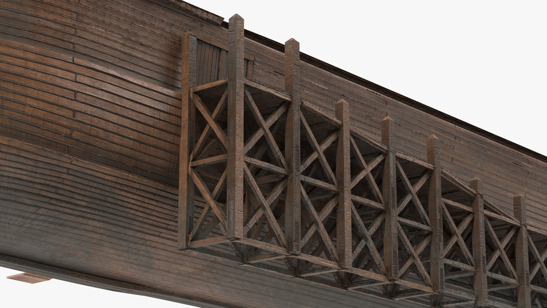 3D Noah Ark Cross Section Dirty model