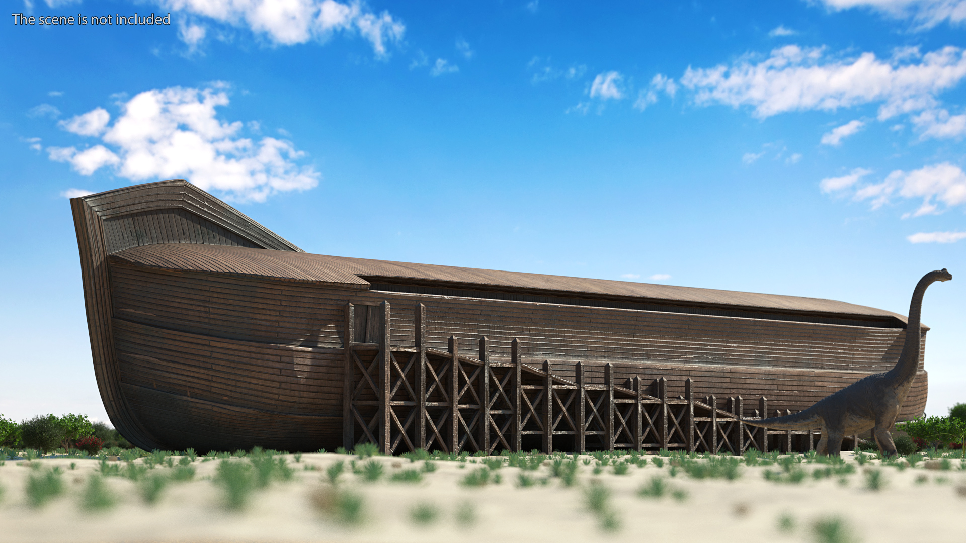 3D Noah Ark Cross Section Dirty model