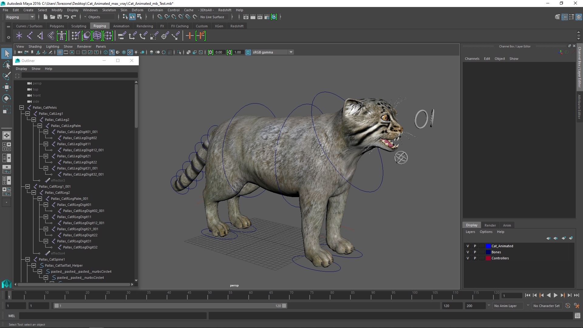 3D Cat Rigged Animated for Maya model