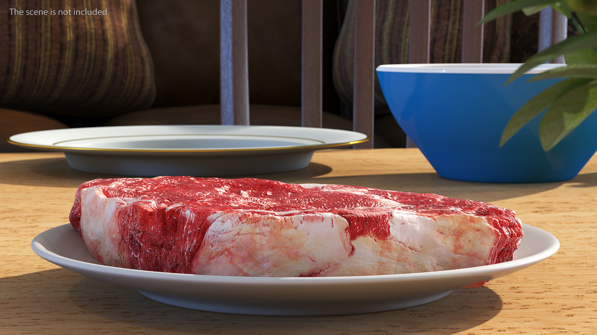 3D Meat Slice Fresh on Plates
