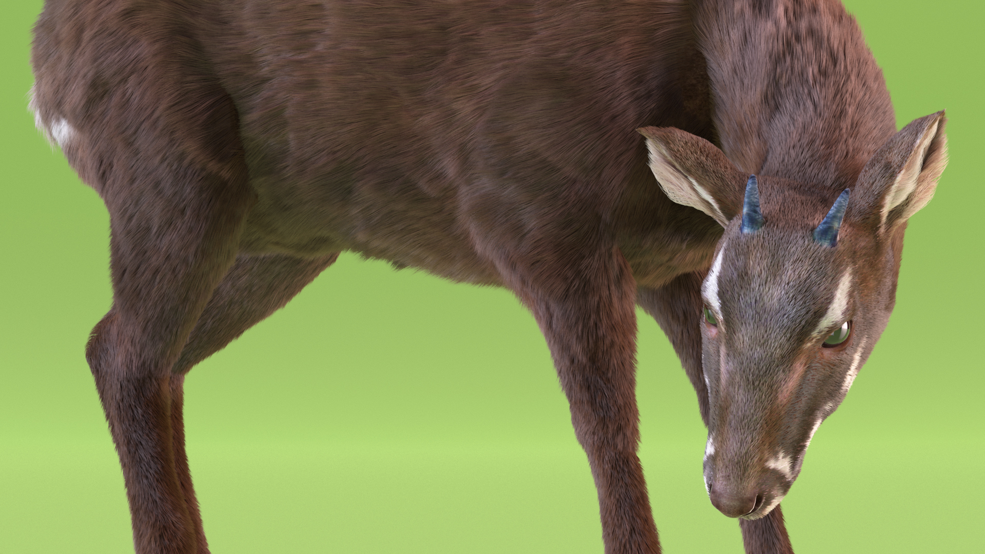 3D Saola Eating Pose Fur
