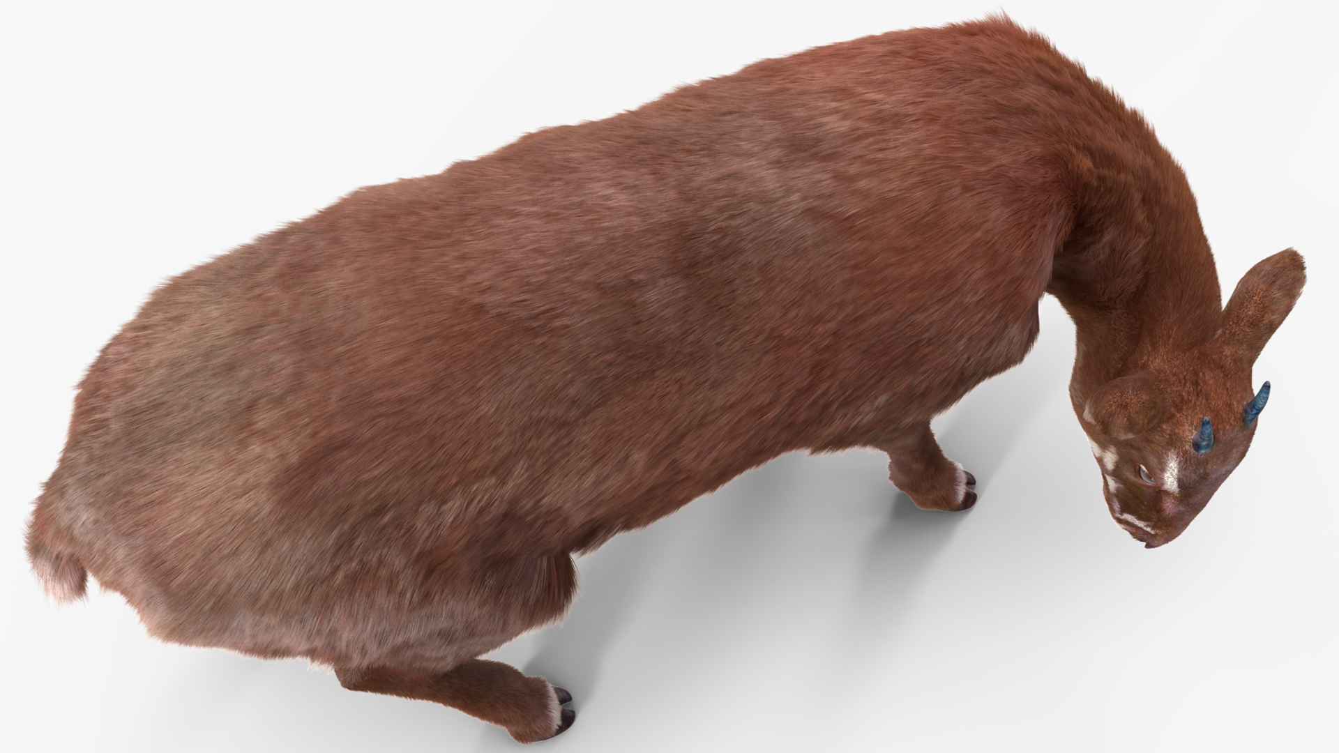 3D Saola Eating Pose Fur