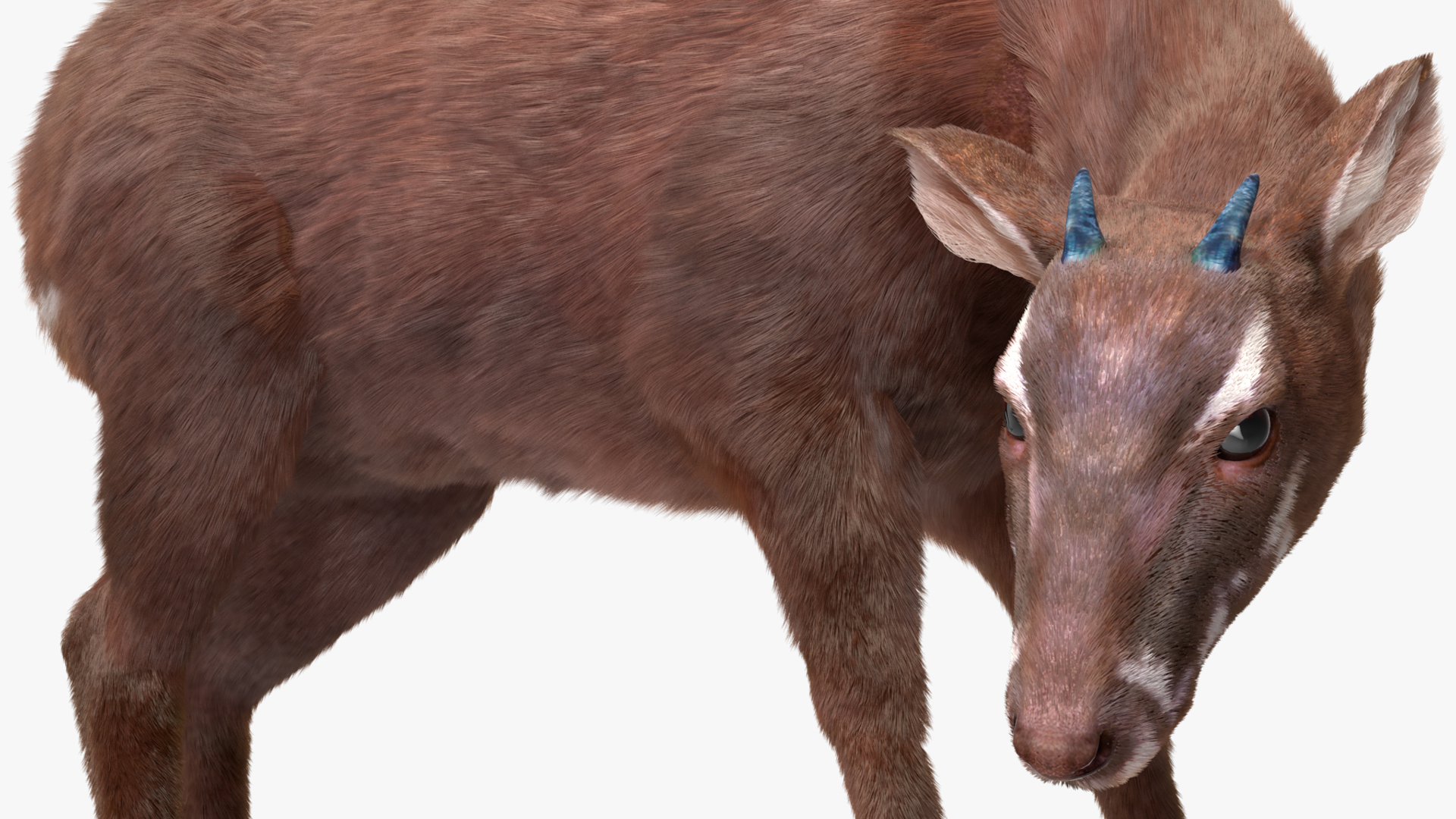 3D Saola Eating Pose Fur