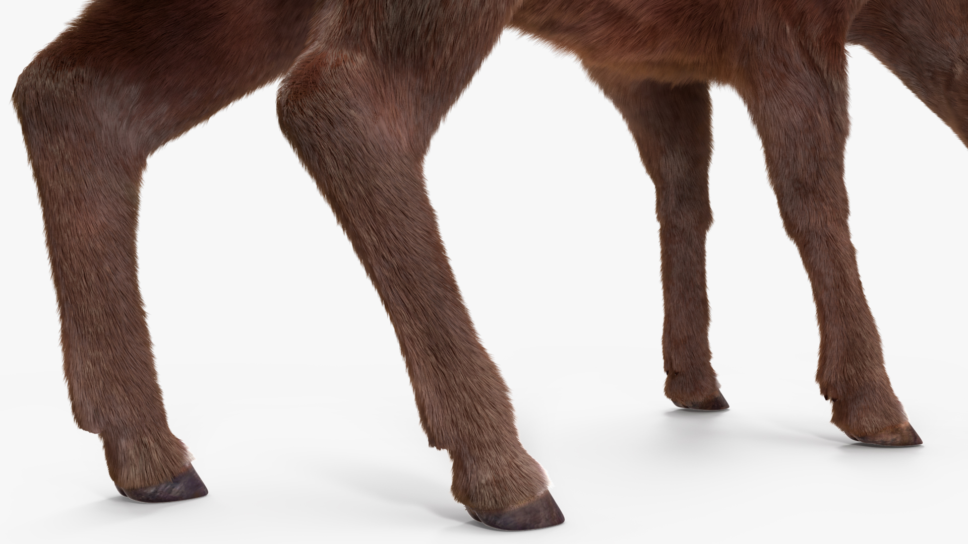 3D Saola Eating Pose Fur