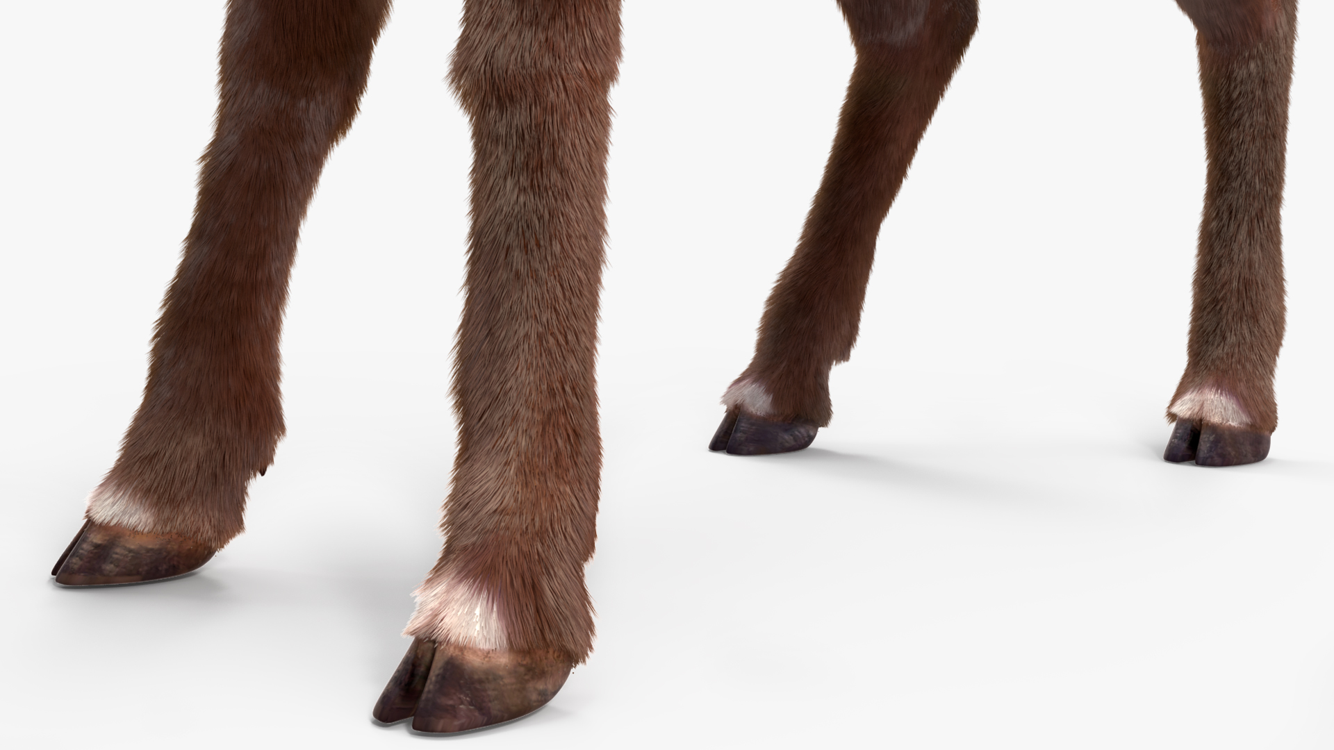 3D Saola Eating Pose Fur