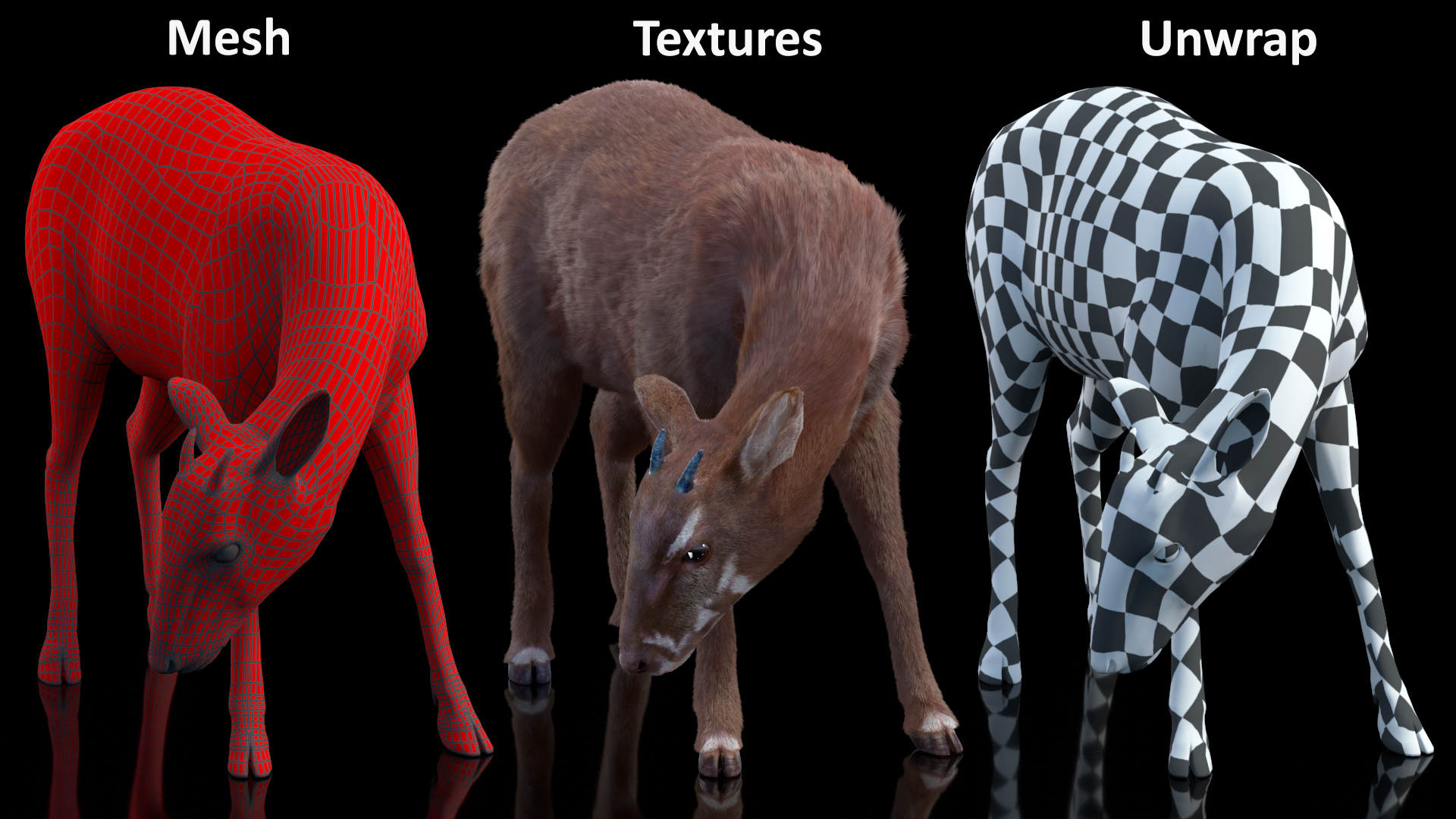 3D Saola Eating Pose Fur