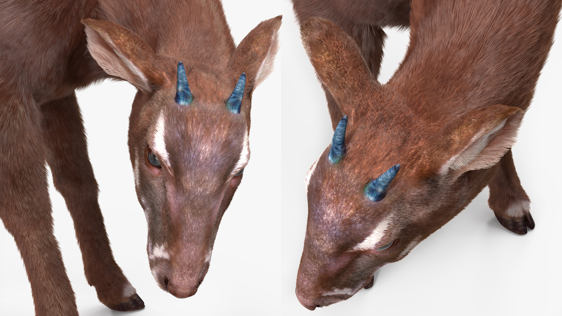 3D Saola Eating Pose Fur