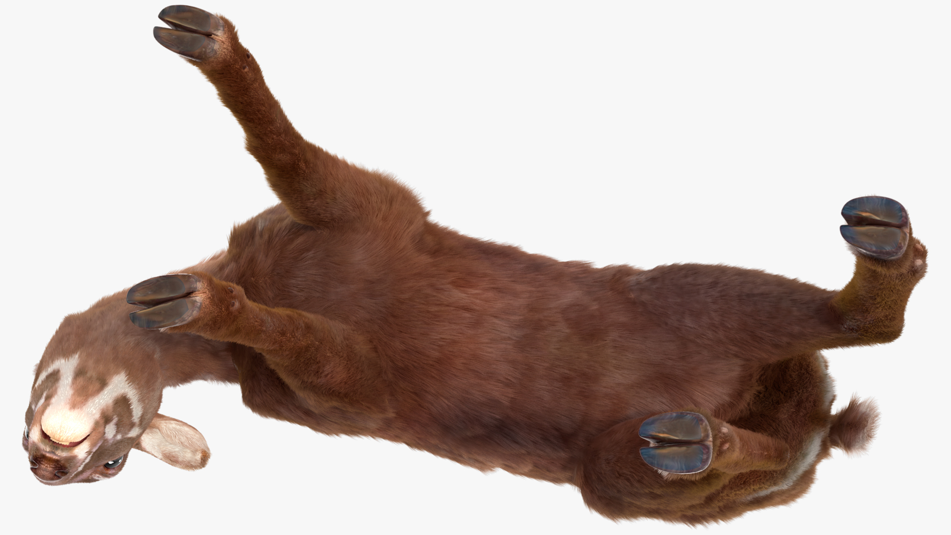 3D Saola Eating Pose Fur