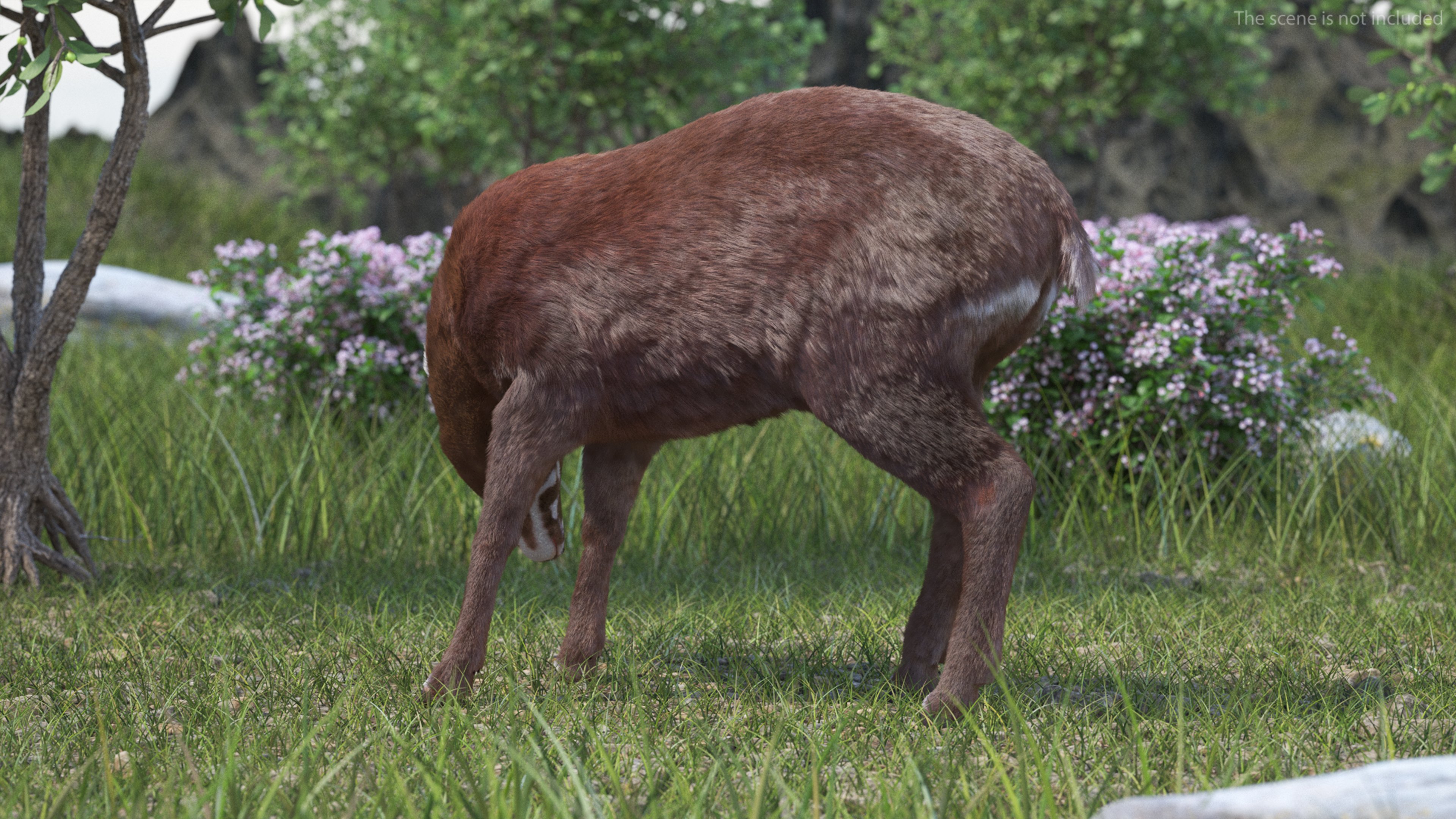 3D Saola Eating Pose Fur