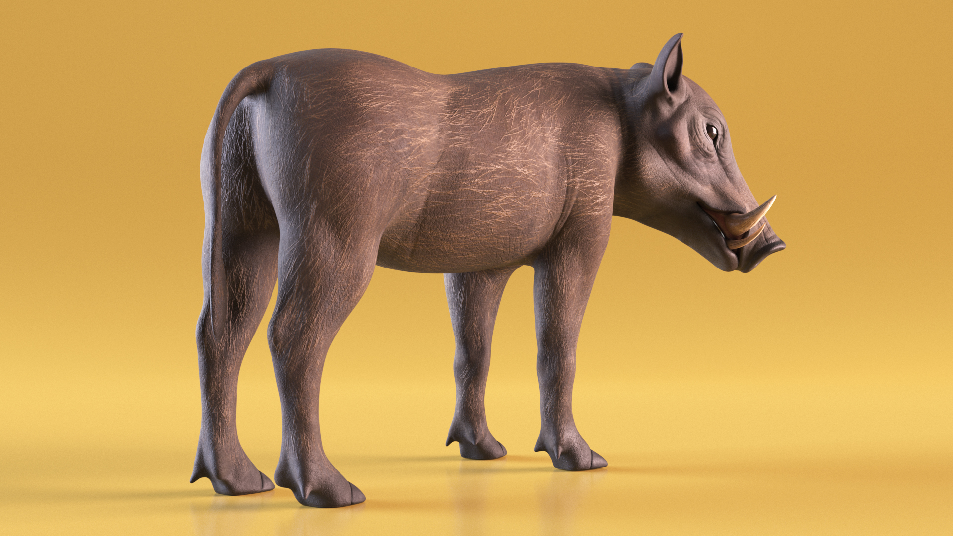 3D African Boar Standing Pose