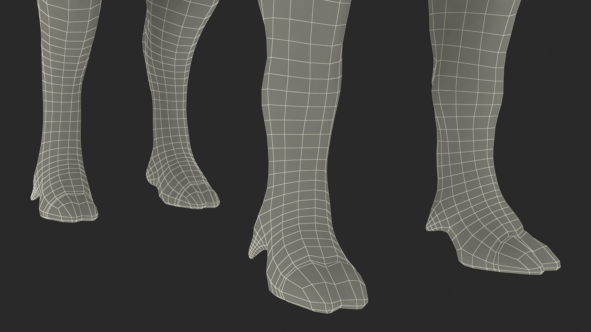 3D African Boar Standing Pose
