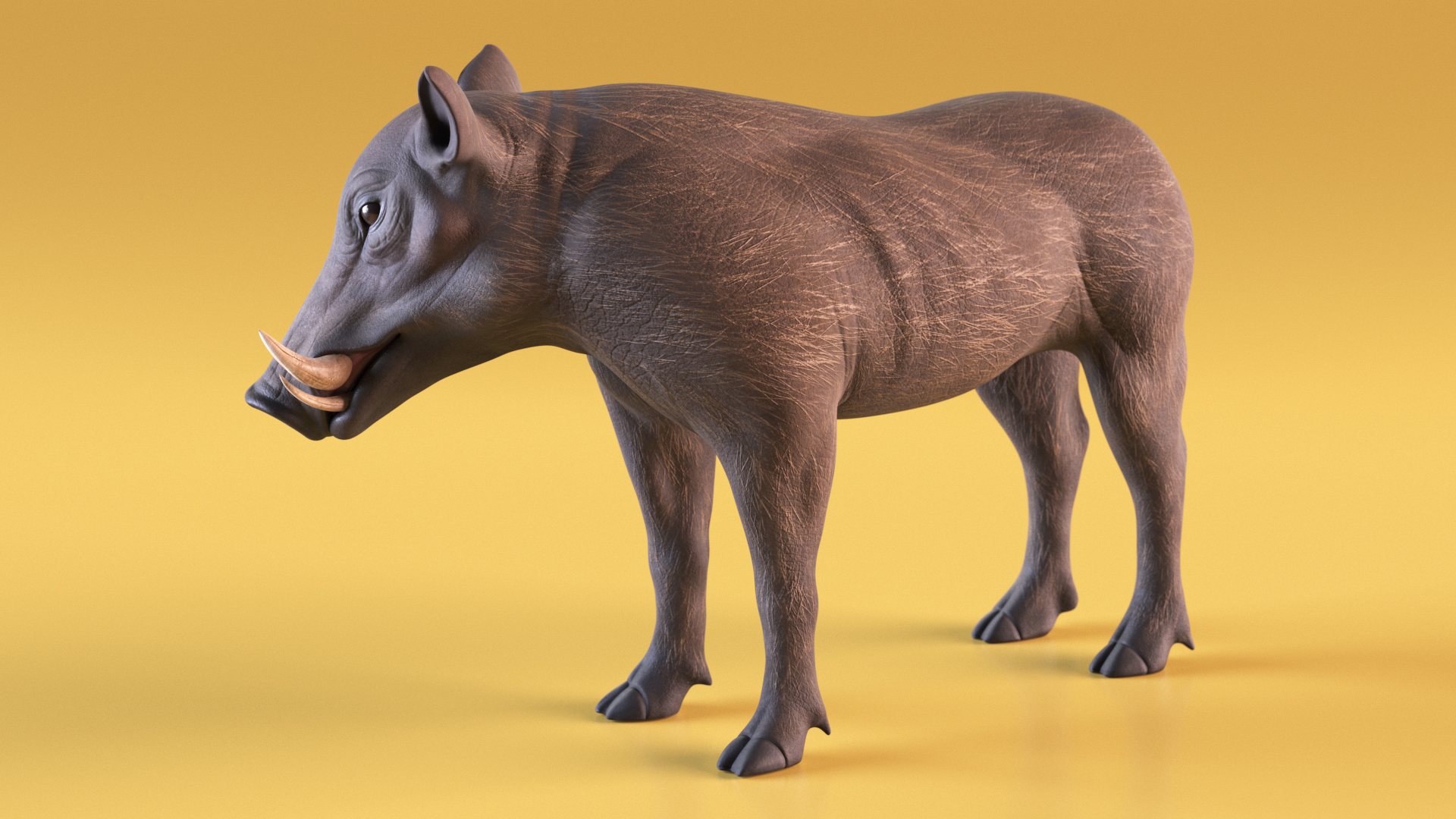 3D African Boar Standing Pose