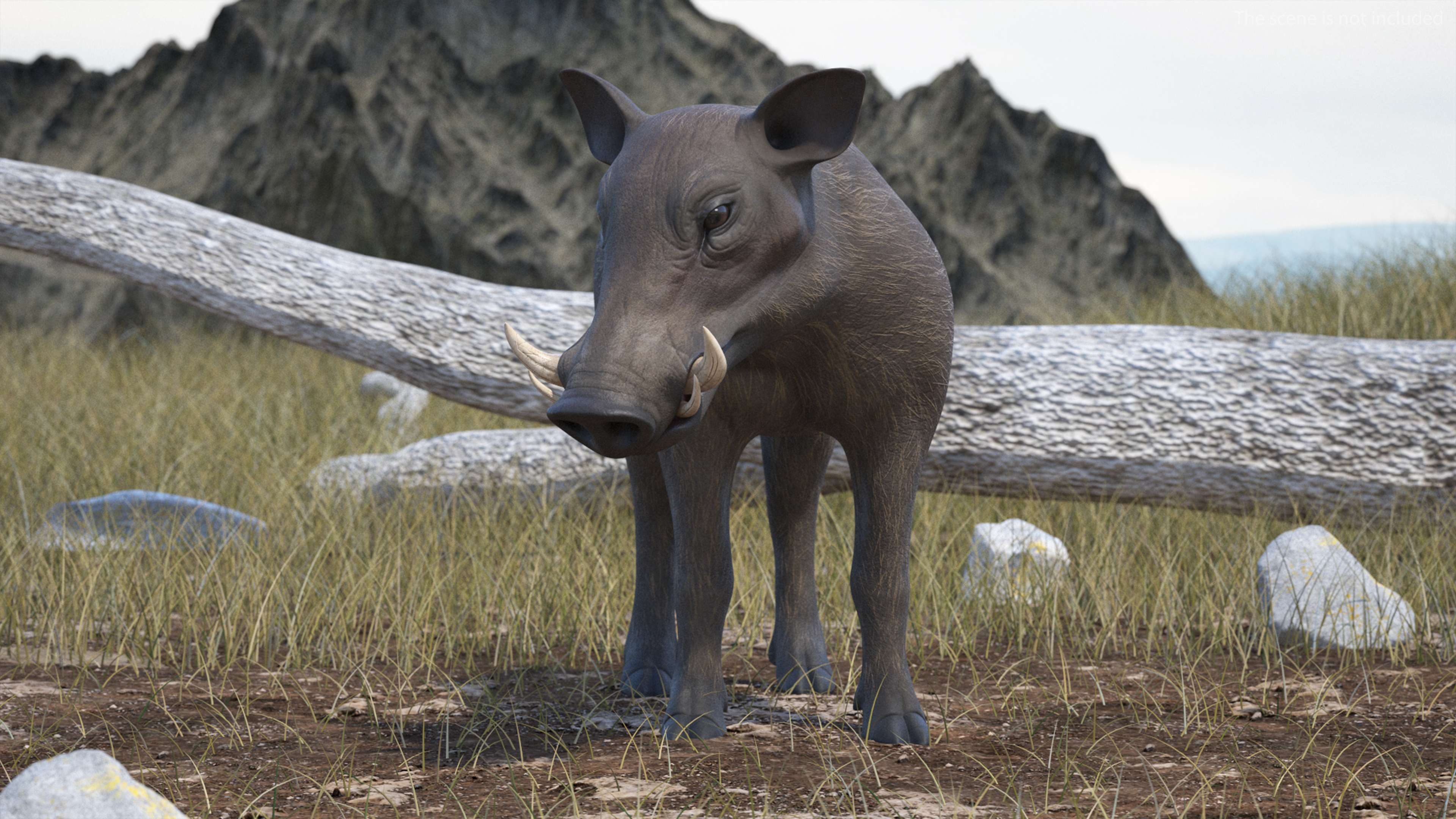3D African Boar Standing Pose
