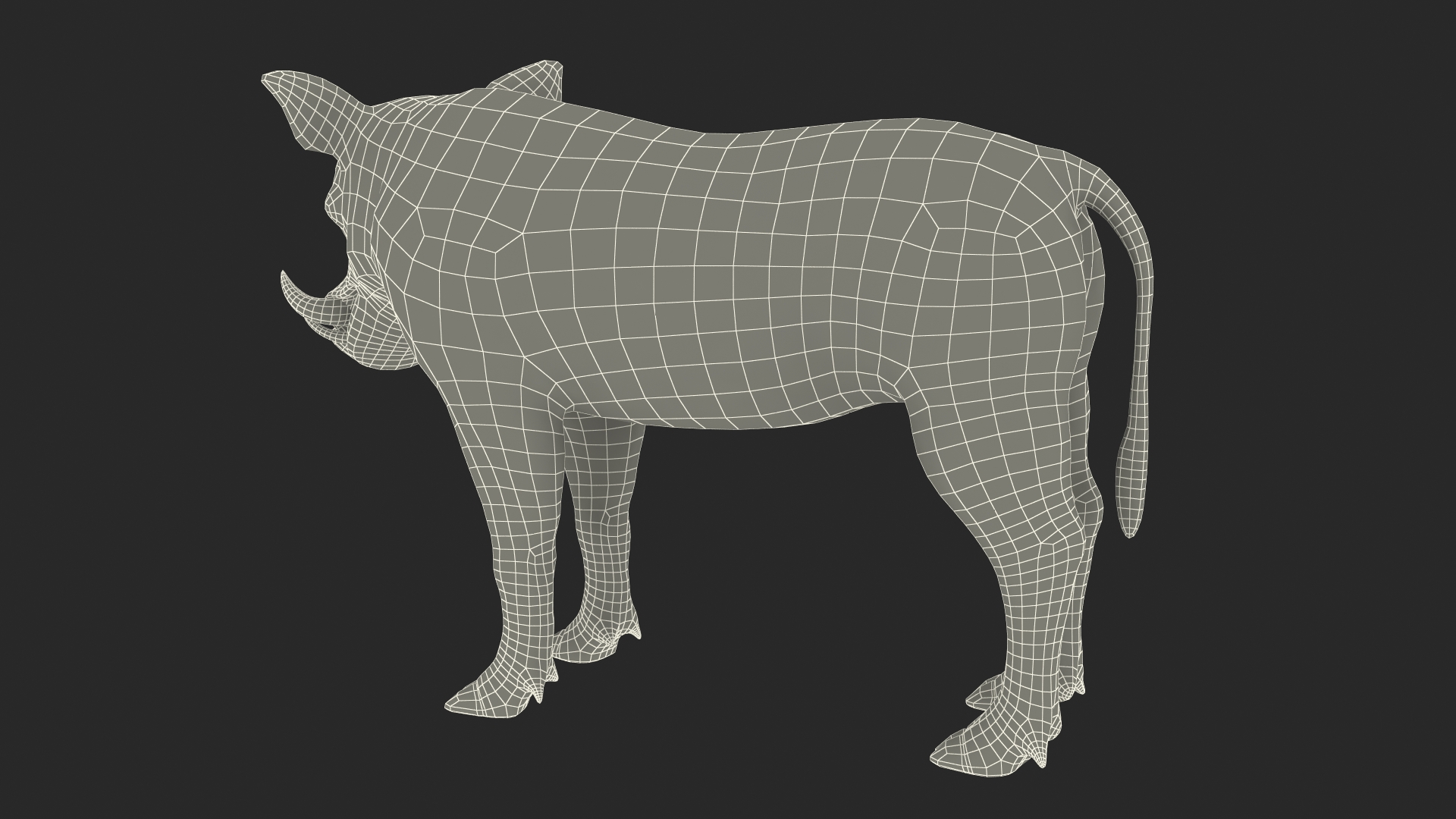 3D African Boar Standing Pose