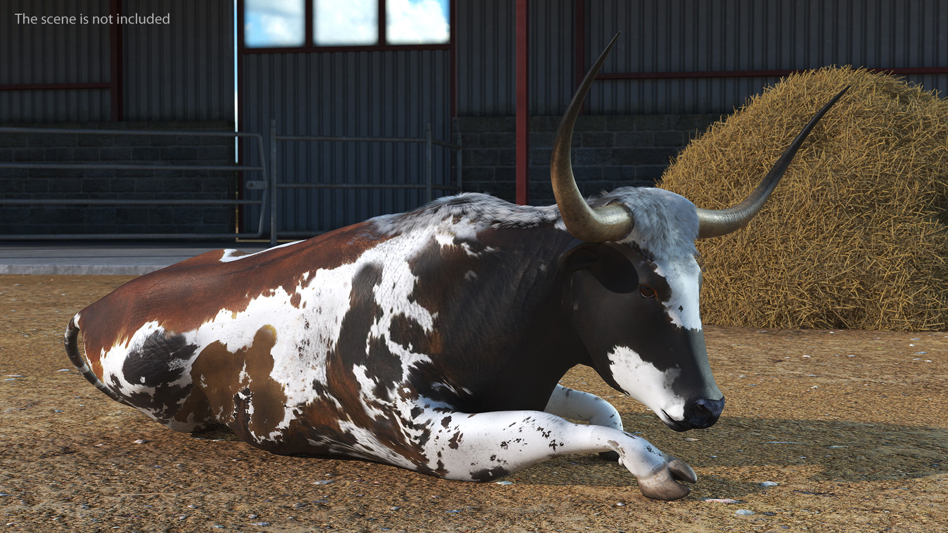 Texas Longhorn Mottled Brown Rigged for Cinema 4D 3D model