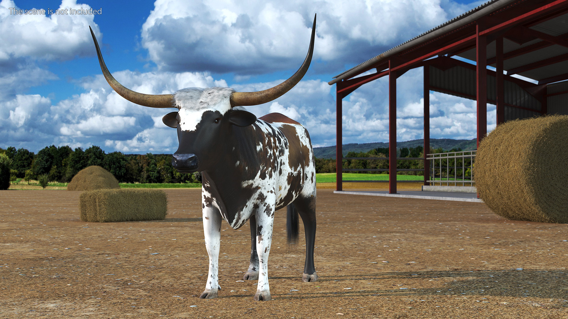 Texas Longhorn Mottled Brown Rigged for Cinema 4D 3D model