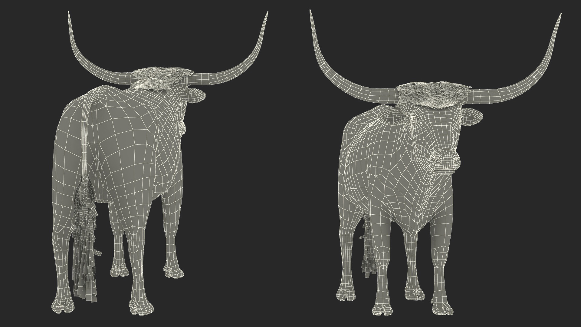 Texas Longhorn Mottled Brown Rigged for Cinema 4D 3D model