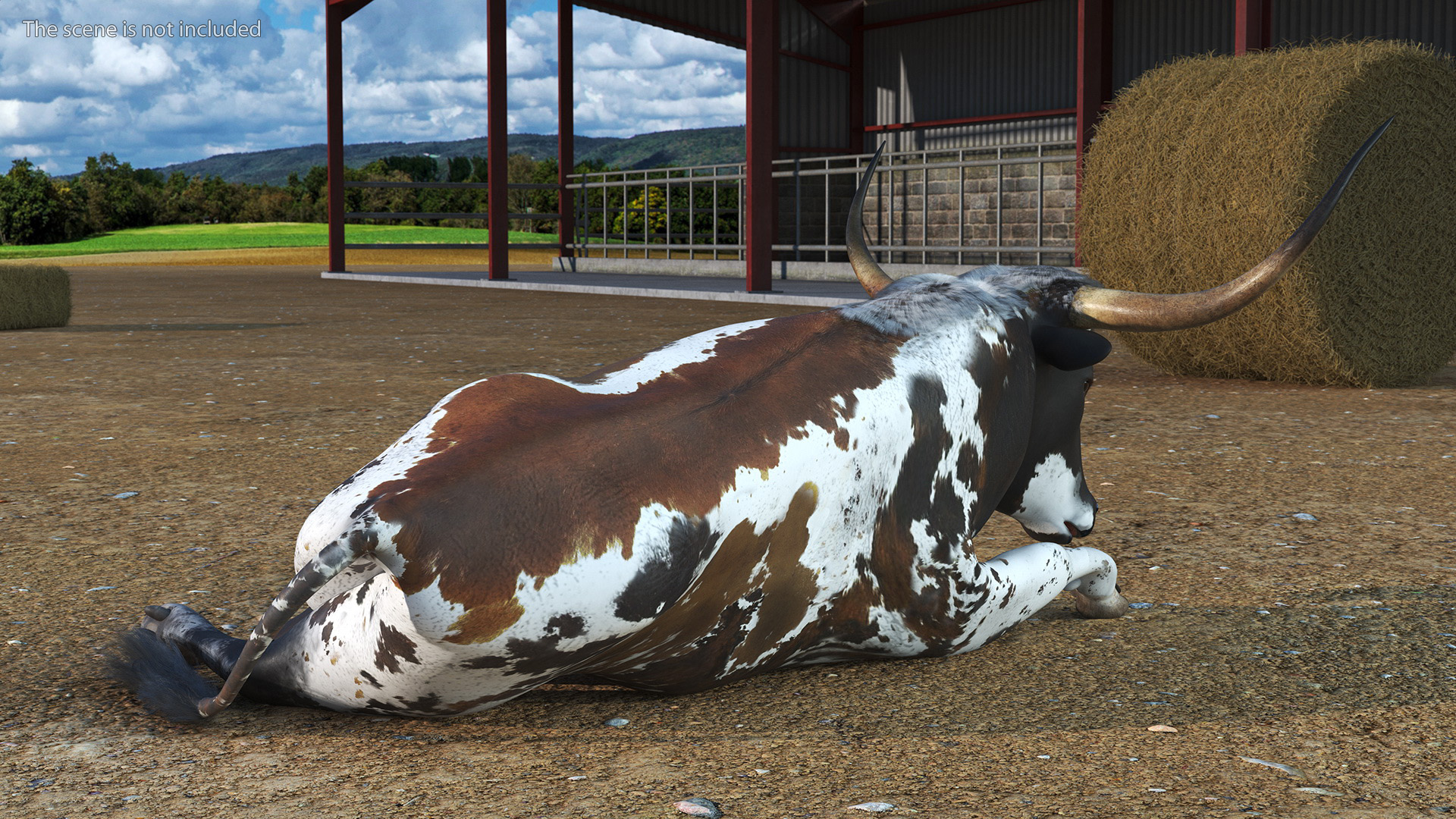 Texas Longhorn Mottled Brown Rigged for Cinema 4D 3D model
