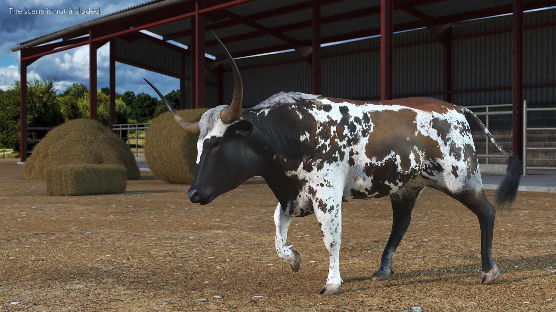 Texas Longhorn Mottled Brown Rigged for Cinema 4D 3D model