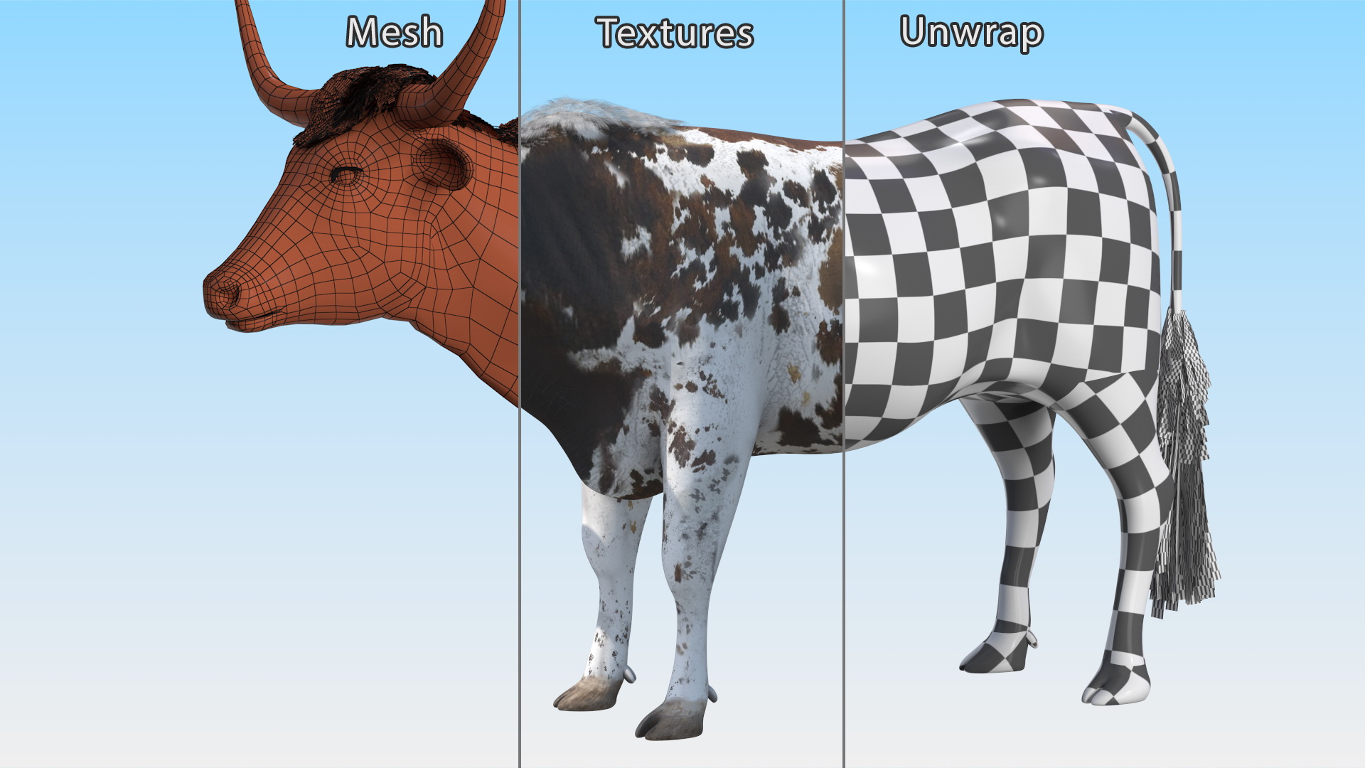 Texas Longhorn Mottled Brown Rigged for Cinema 4D 3D model