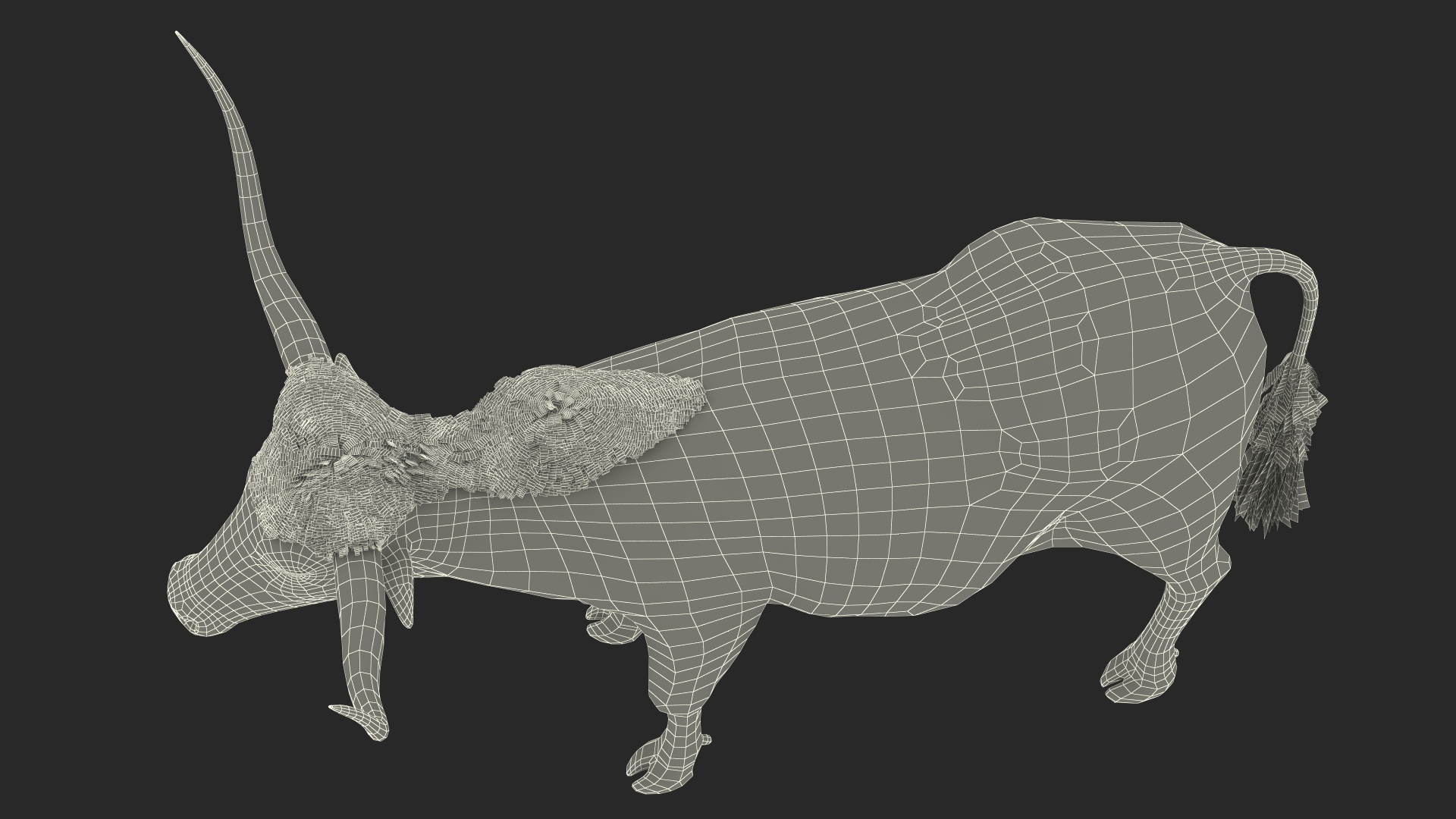 Texas Longhorn Mottled Brown Rigged for Cinema 4D 3D model