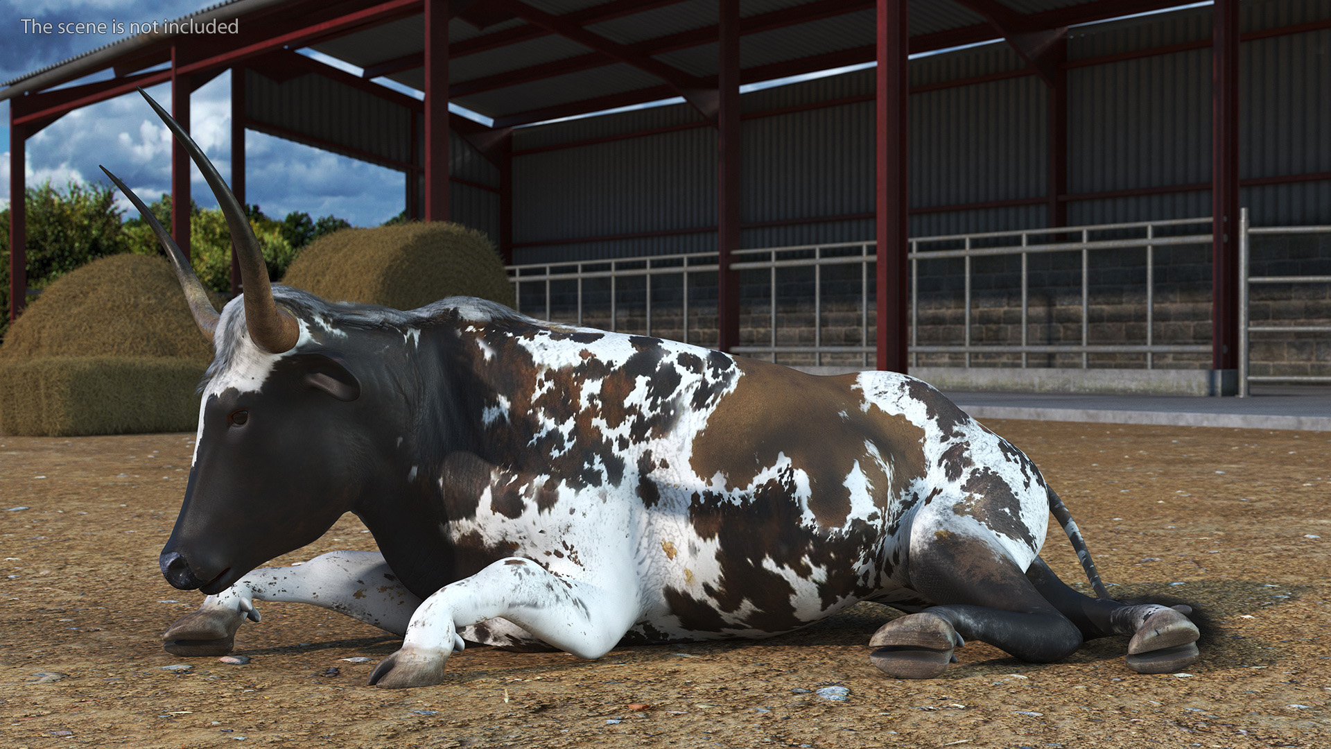 Texas Longhorn Mottled Brown Rigged for Cinema 4D 3D model