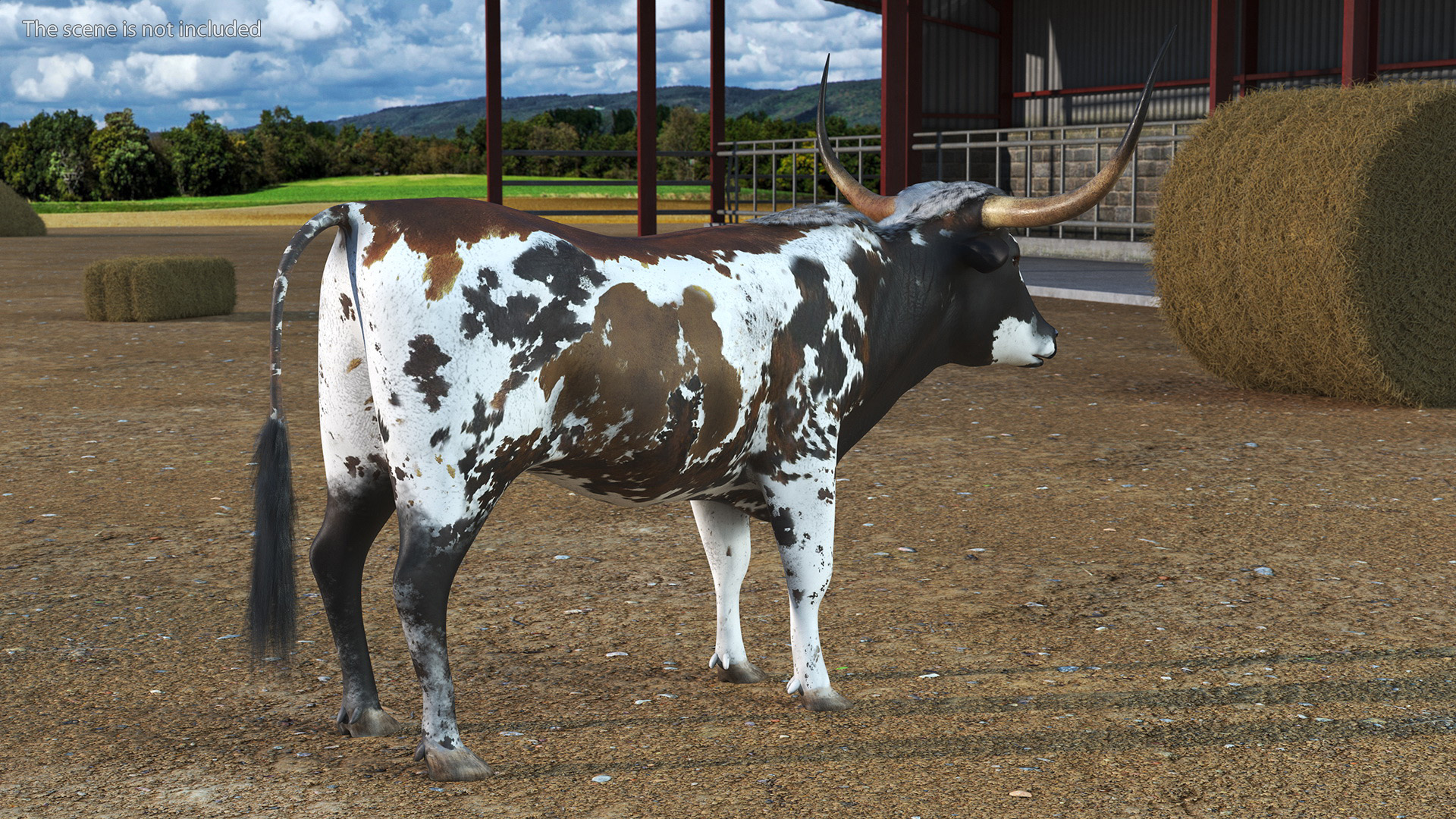 Texas Longhorn Mottled Brown Rigged for Cinema 4D 3D model